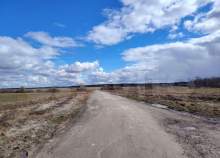 Купить участок 12.3 соток Московская область, Подольск, Московская обл., г.о. Подольск, СНТСН Лопатино Купить участок 12.3 соток , фотография 8