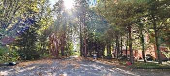 Покупка участок 10.0 соток , фотография 3