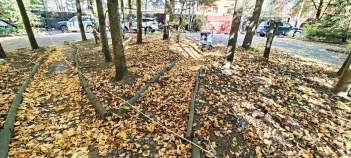 Купить участок 10.0 соток , фотография 6