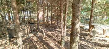 Купить участок 10.0 соток , фотография 9