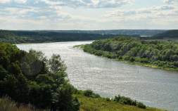 Куплю участок 15.0 соток , фотография обложки