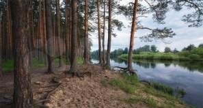 Покупка участок 15.0 соток , фотография 3