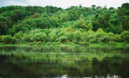 Купить участок 15.0 соток , фотография 6