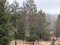 Продажа недвижимости Московская область, Чехов муниципальный округ, д. Кармашовка, 56 Цена на участок 12.0 соток , фотография 1