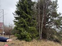 Купить участок 12.0 соток Московская область, Чехов муниципальный округ, д. Кармашовка, 56 Покупка участок 12.0 соток , фотография 3