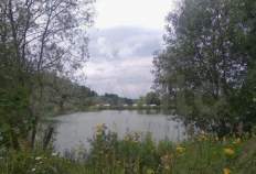 Продать участок 4.8 соток , фотография 2