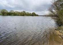 Купить участок 6.0 соток , фотография 5