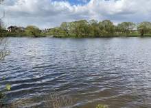 Купить участок 6.0 соток , фотография 6