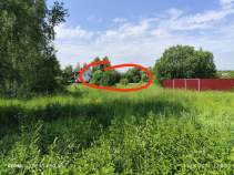 Купить участок 14.0 соток Московская область, Чехов муниципальный округ, д. Алферово, Купить участок 14.0 соток , фотография 7