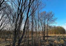 Куплю участок 15.0 соток , фотография обложки