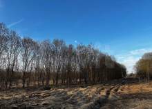 Продать участок 15.0 соток , фотография 2