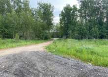 Куплю участок 25.0 соток , фотография 4