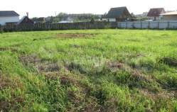 Куплю участок 6.0 соток , фотография обложки