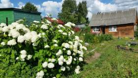 Куплю участок 6.0 соток , фотография 4