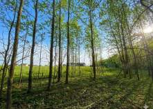 Куплю участок 7.5 соток , фотография обложки