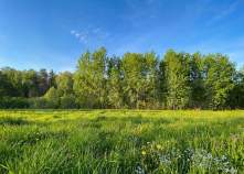 Продать участок 7.5 соток , фотография 2