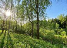 Куплю участок 7.5 соток , фотография 4