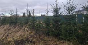 Купить участок 4.0 соток , фотография 6