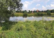 Покупка участок 6.0 соток , фотография 3