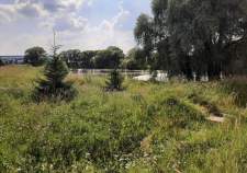 Куплю участок 6.0 соток , фотография 4