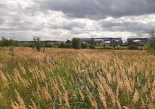 Купить участок 6.0 соток , фотография 5