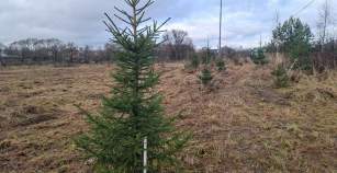 Купить участок 6.0 соток , фотография 8