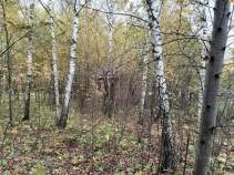 Цена на дом на участке  соток , фотография 1