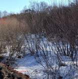 Куплю участок 68.0 соток , фотография 4