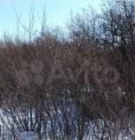 Купить участок 68.0 соток , фотография 5