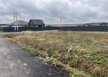 Покупка участок 505.0 соток , фотография 3