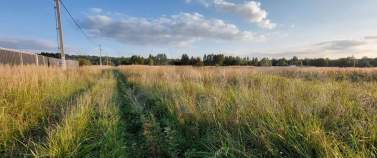 Продать участок 25.0 соток , фотография 2