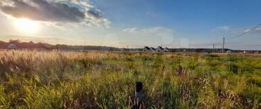 Покупка участок 25.0 соток , фотография 3