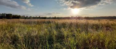 Куплю участок 25.0 соток , фотография 4