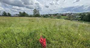 Куплю участок 22.0 соток , фотография обложки