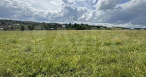 Куплю участок 22.0 соток , фотография 4