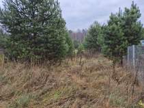 Куплю дом на участке  соток , фотография 4