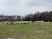 Купить участок 2.5 соток , фотография 6