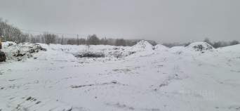 Покупка участок 100.0 соток , фотография 3