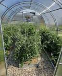 Покупка участок 7.2 соток , фотография 3