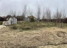 Куплю участок 13.0 соток , фотография обложки