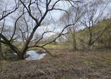 Купить участок 6.4 соток , фотография 7