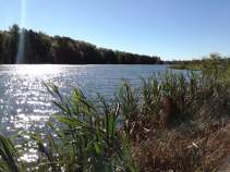 Покупка участок 6.1 соток , фотография 3