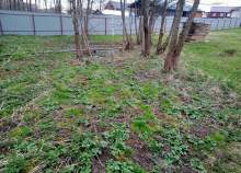 Куплю участок 6.0 соток , фотография обложки