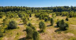 Куплю участок 6.9 соток , фотография обложки