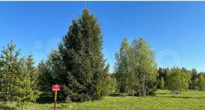 Продать участок 6.9 соток , фотография 2