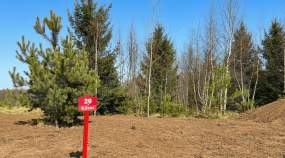 Покупка участок 6.9 соток , фотография 3