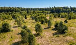 Купить участок 6.9 соток , фотография 8