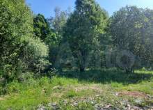 Продать участок 10.0 соток , фотография 2