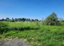 Покупка участок 10.0 соток , фотография 3