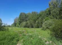 Купить участок 10.0 соток , фотография 6